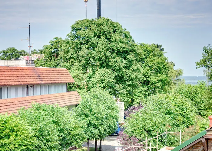 Sunrise Close To The & By Renters